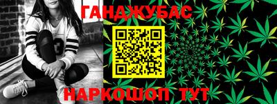 PSILOCYBIN Заводоуковск