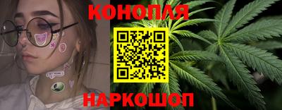 PSILOCYBIN Заводоуковск